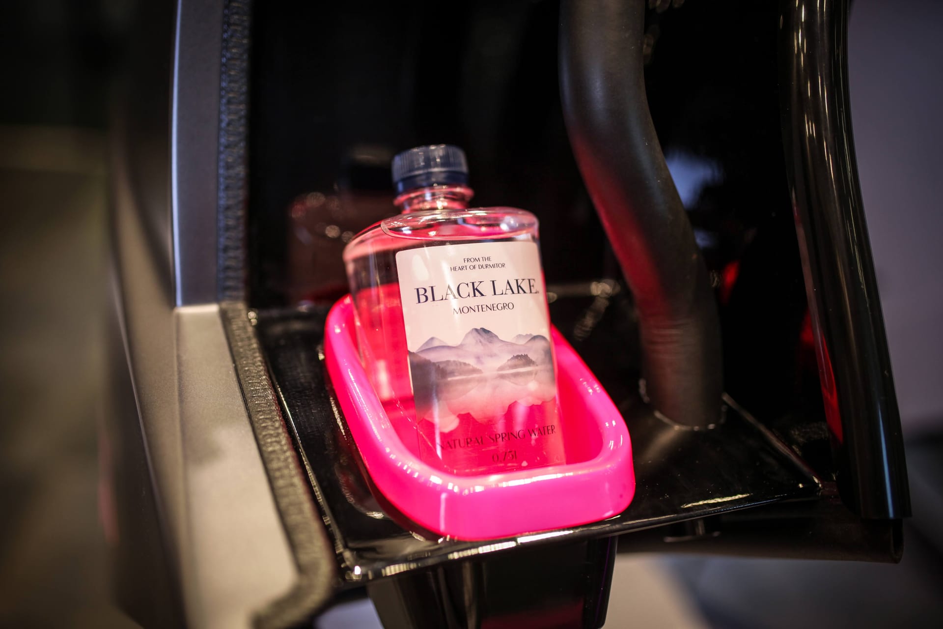 Black Lake water bottle in pink holder